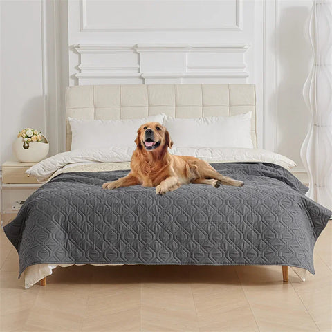 Manta para Cama e Sofá e Seus Pets