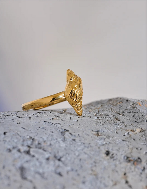 https://rario10.com.br/products/anel-ajustavel-em-aco-inoxidavel-dourado?_pos=1&_sid=51bad2606&_ss=r