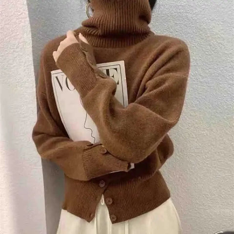 https://rario10.com.br/products/sueter-feminino-gola-alta-elegante?_pos=1&_sid=5a92e51c1&_ss=r