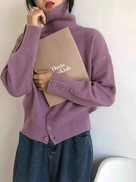 https://rario10.com.br/products/sueter-feminino-gola-alta-elegante?_pos=1&_sid=5a92e51c1&_ss=r