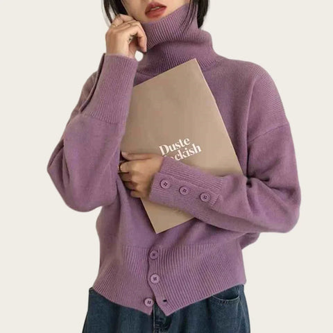 https://rario10.com.br/products/sueter-feminino-gola-alta-elegante?_pos=1&_sid=5a92e51c1&_ss=r
